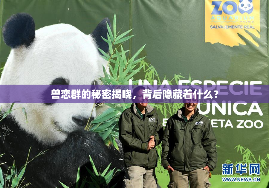 兽恋群的秘密揭晓，背后隐藏着什么？