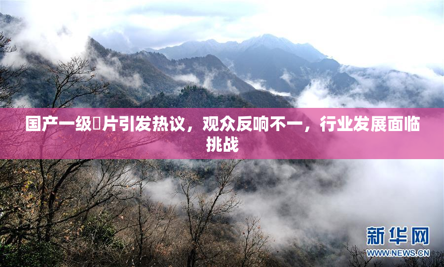 国产一级婬片引发热议，观众反响不一，行业发展面临挑战