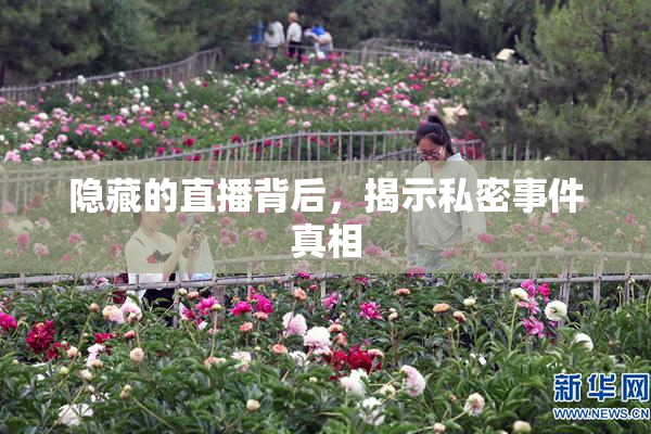 隐藏的直播背后，揭示私密事件真相