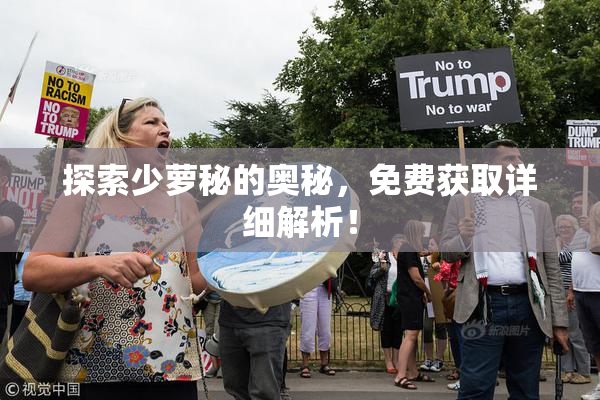 探索少萝秘的奥秘，免费获取详细解析！