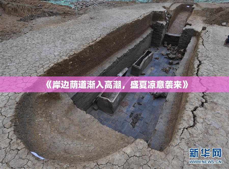 《岸边荫道渐入高潮，盛夏凉意袭来》