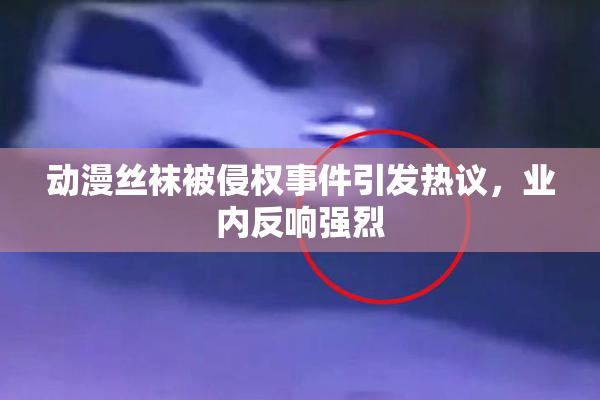 动漫丝袜被侵权事件引发热议，业内反响强烈