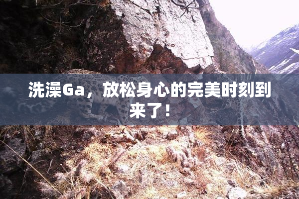 洗澡Ga，放松身心的完美时刻到来了！