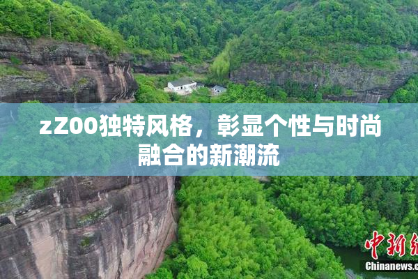 zZ00独特风格，彰显个性与时尚融合的新潮流