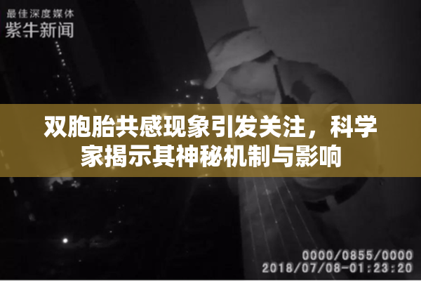 双胞胎共感现象引发关注，科学家揭示其神秘机制与影响