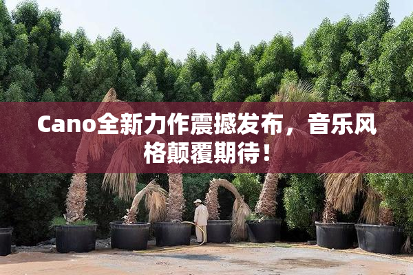Cano全新力作震撼发布，音乐风格颠覆期待！