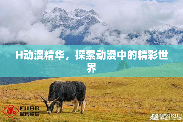 H动漫精华，探索动漫中的精彩世界
