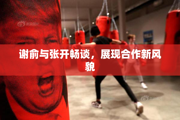 谢俞与张开畅谈，展现合作新风貌