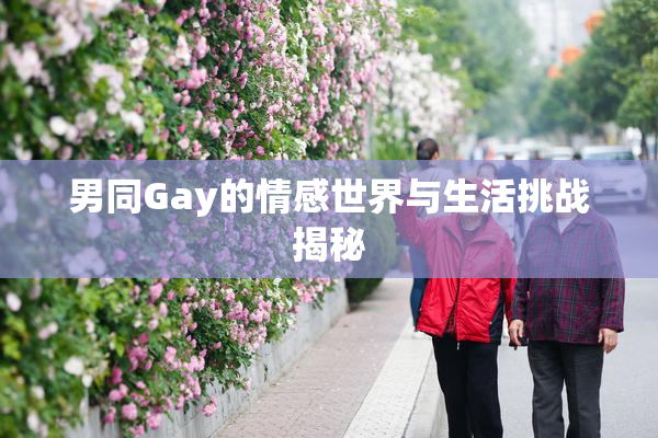 男同Gay的情感世界与生活挑战揭秘
