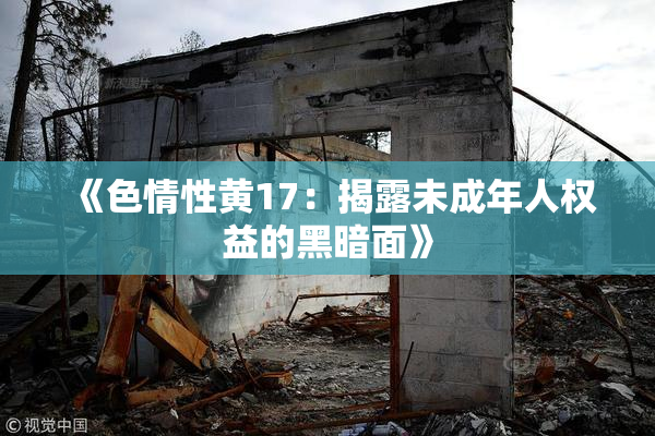 《色情性黄17：揭露未成年人权益的黑暗面》
