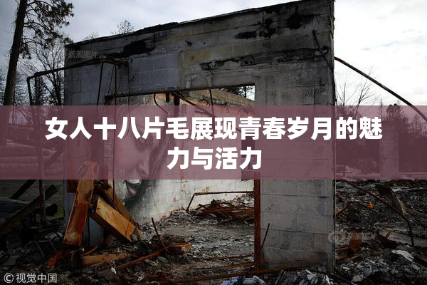 女人十八片毛展现青春岁月的魅力与活力
