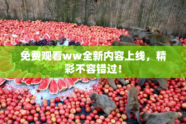 免费观看ww全新内容上线，精彩不容错过！