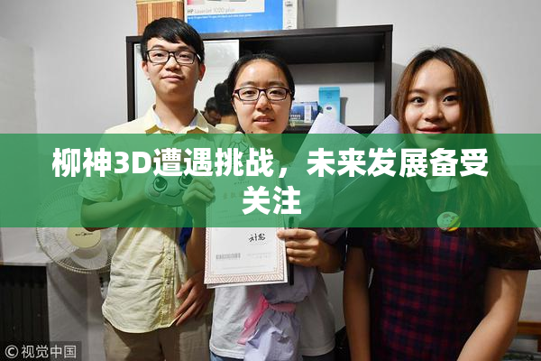 柳神3D遭遇挑战，未来发展备受关注