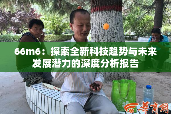 66m6：探索全新科技趋势与未来发展潜力的深度分析报告