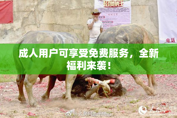 成人用户可享受免费服务，全新福利来袭！