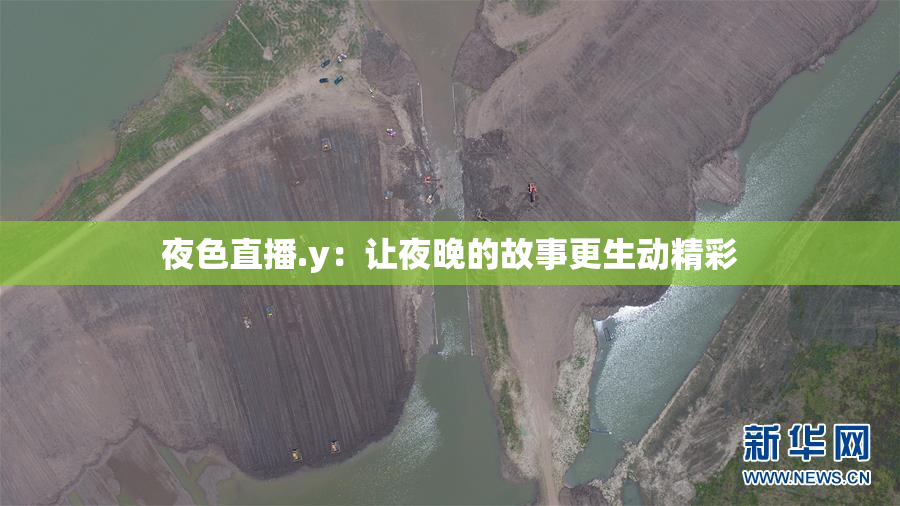 夜色直播.y：让夜晚的故事更生动精彩