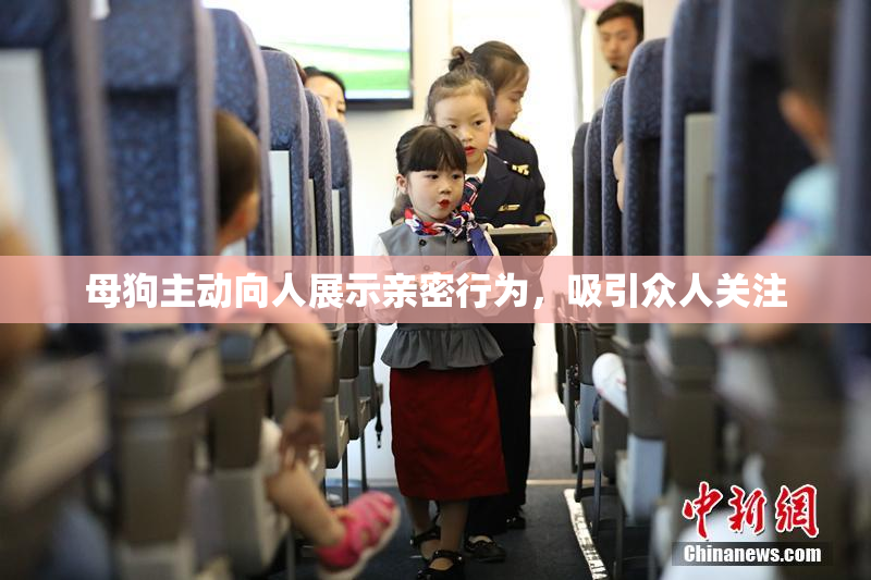 母狗主动向人展示亲密行为，吸引众人关注