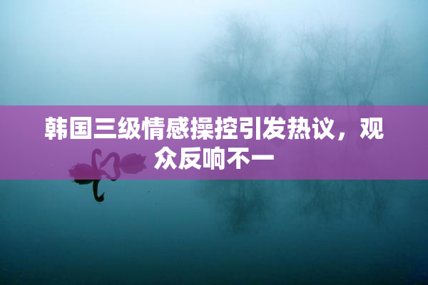 韩国三级情感操控引发热议，观众反响不一