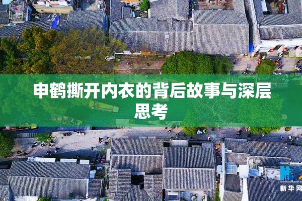 申鹤撕开内衣的背后故事与深层思考