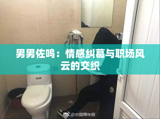 男男佐鸣：情感纠葛与职场风云的交织