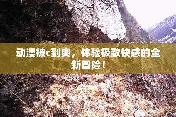 动漫被c到爽，体验极致快感的全新冒险！