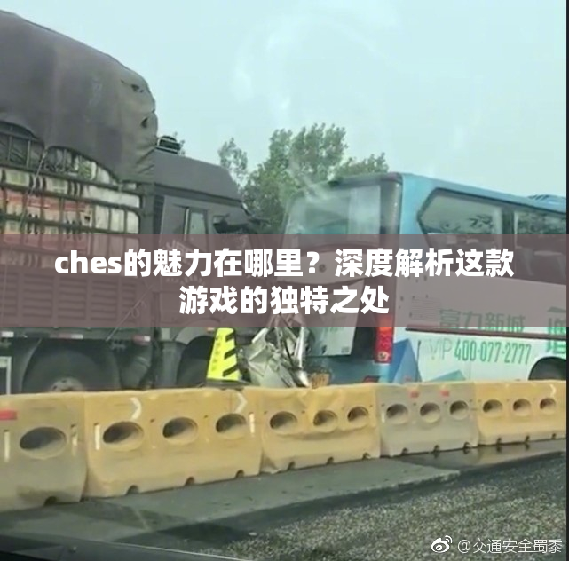 ches的魅力在哪里？深度解析这款游戏的独特之处