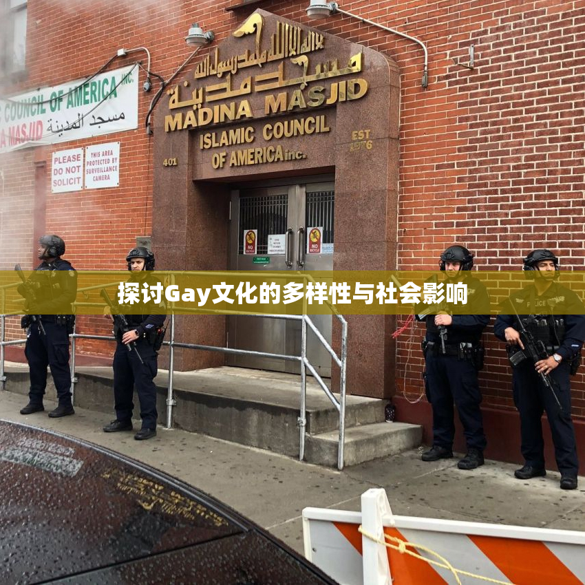 探讨Gay文化的多样性与社会影响