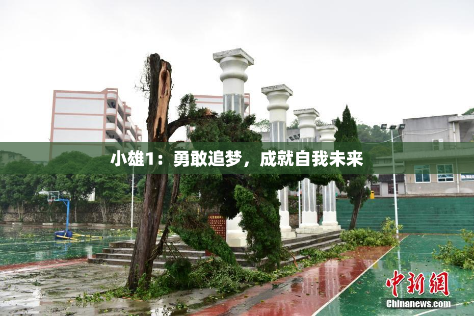 小雄1：勇敢追梦，成就自我未来