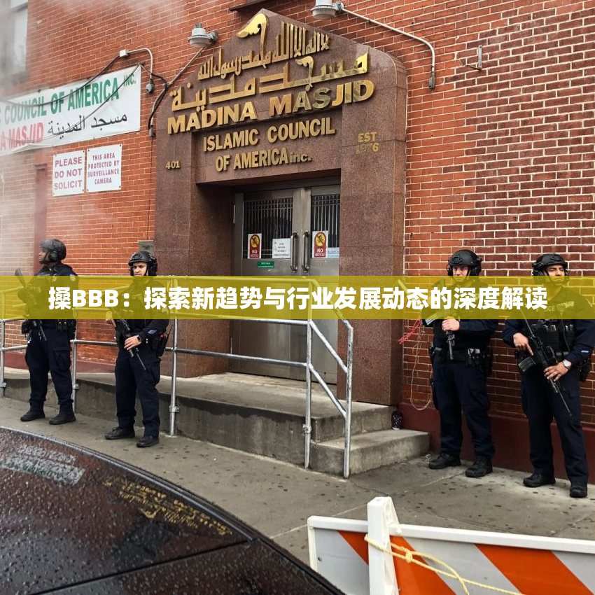 搡BBB：探索新趋势与行业发展动态的深度解读