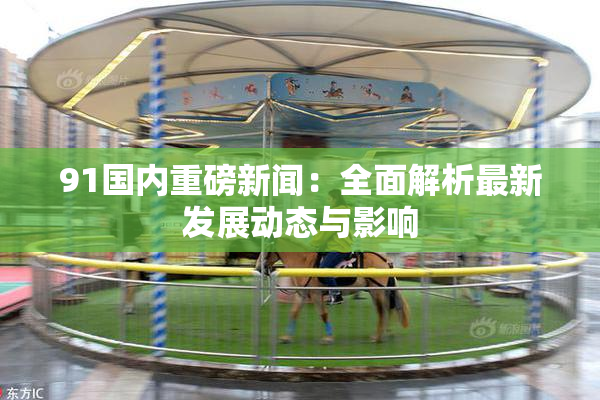 91国内重磅新闻：全面解析最新发展动态与影响