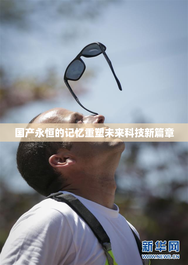 国产永恒的记忆重塑未来科技新篇章