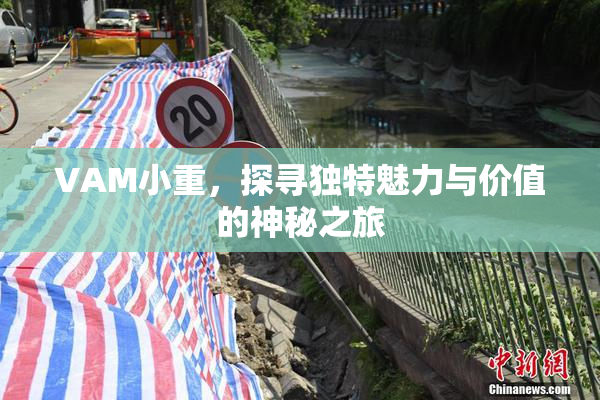 VAM小重，探寻独特魅力与价值的神秘之旅