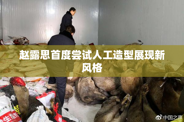 赵露思首度尝试人工造型展现新风格