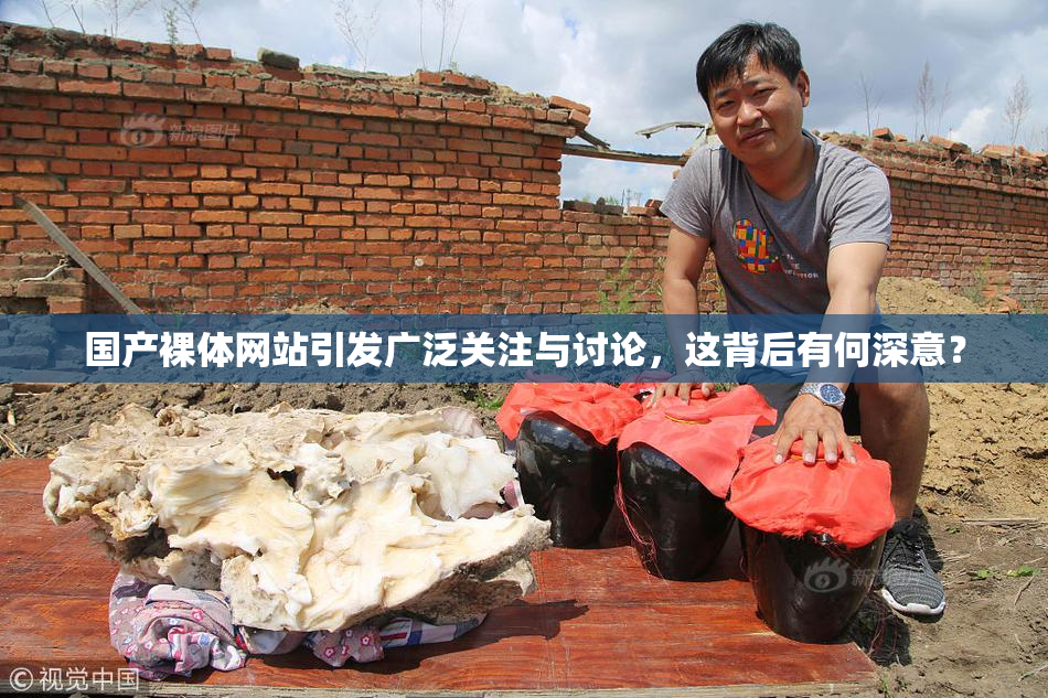 国产裸体网站引发广泛关注与讨论，这背后有何深意？