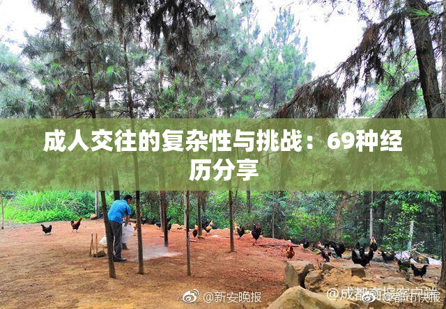 成人交往的复杂性与挑战：69种经历分享