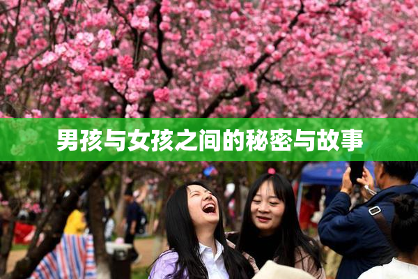 男孩与女孩之间的秘密与故事