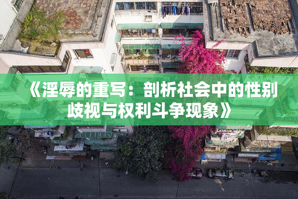 《淫辱的重写：剖析社会中的性别歧视与权利斗争现象》