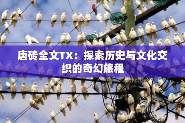 唐砖全文TX：探索历史与文化交织的奇幻旅程