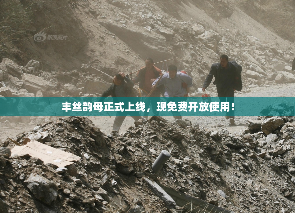 丰丝韵母正式上线，现免费开放使用！