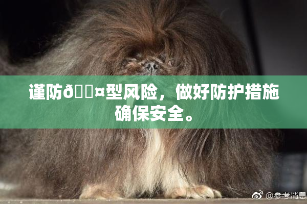 谨防🐤型风险，做好防护措施确保安全。