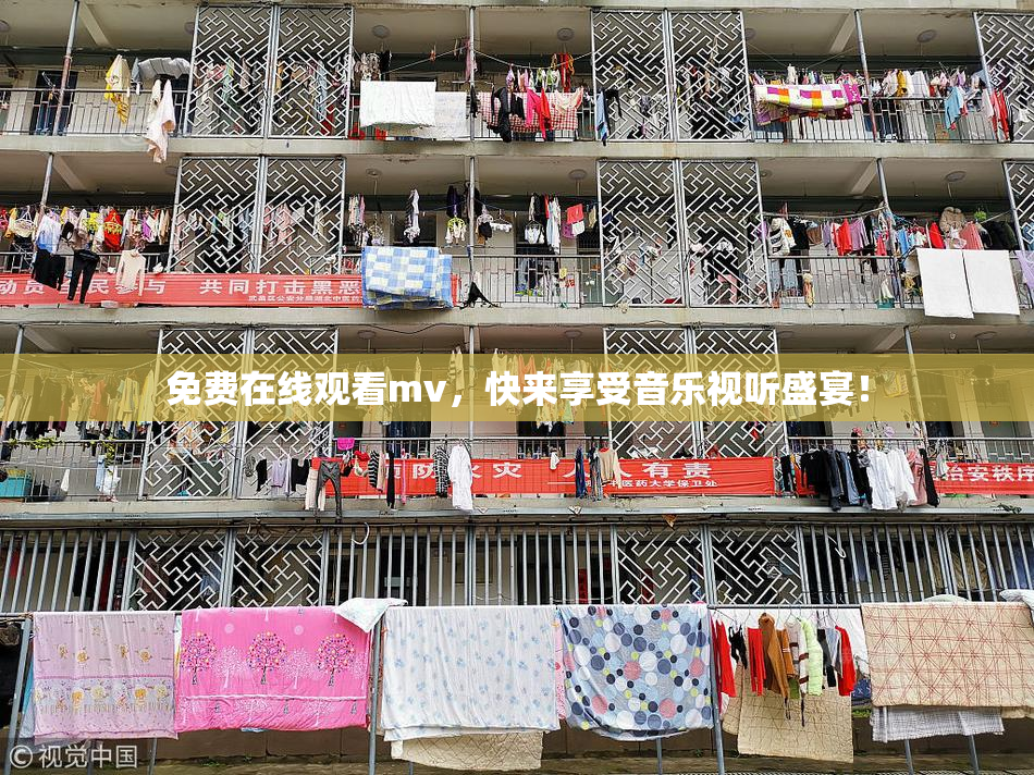 免费在线观看mv，快来享受音乐视听盛宴！