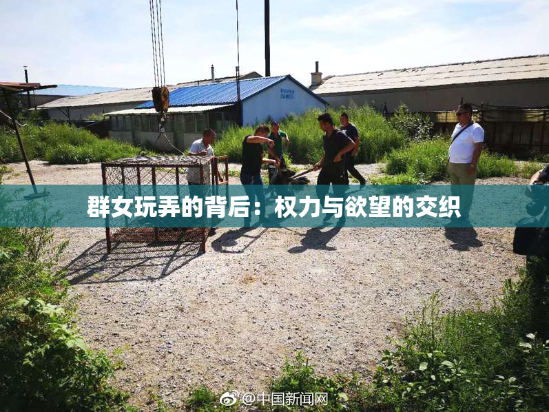 群女玩弄的背后：权力与欲望的交织