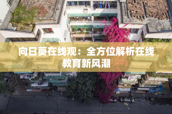 向日葵在线观：全方位解析在线教育新风潮