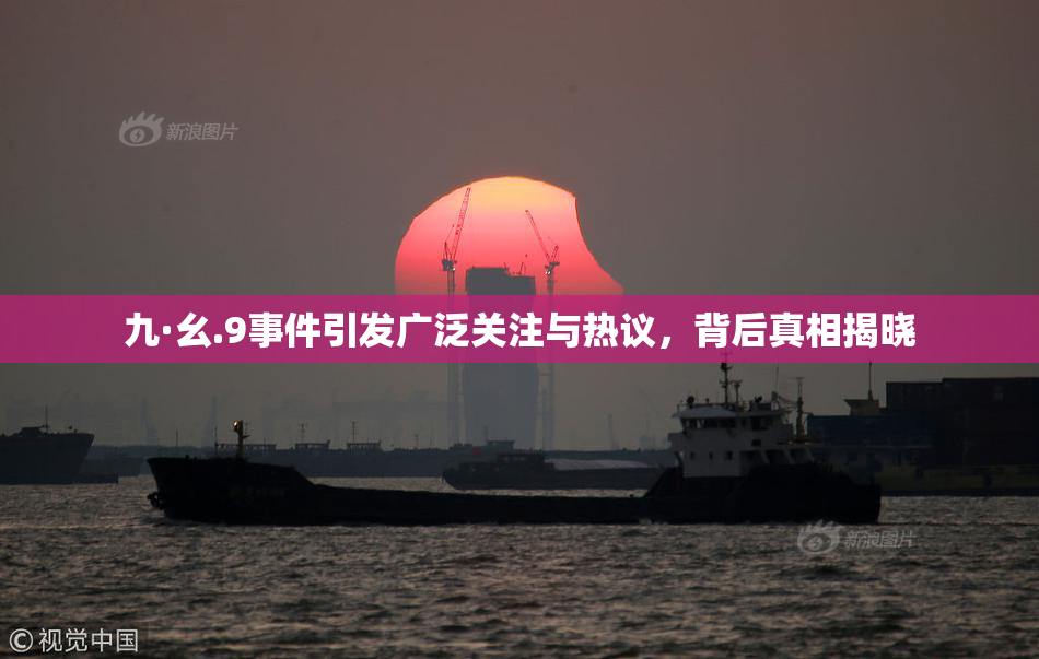 九·幺.9事件引发广泛关注与热议，背后真相揭晓