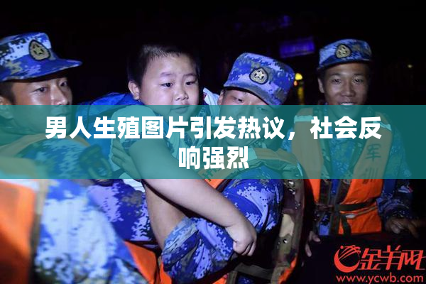 男人生殖图片引发热议，社会反响强烈
