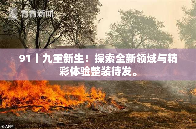 91丨九重新生！探索全新领域与精彩体验整装待发。