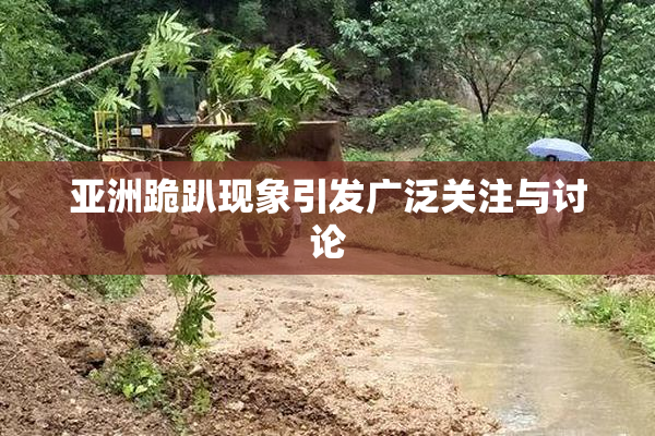 亚洲跪趴现象引发广泛关注与讨论