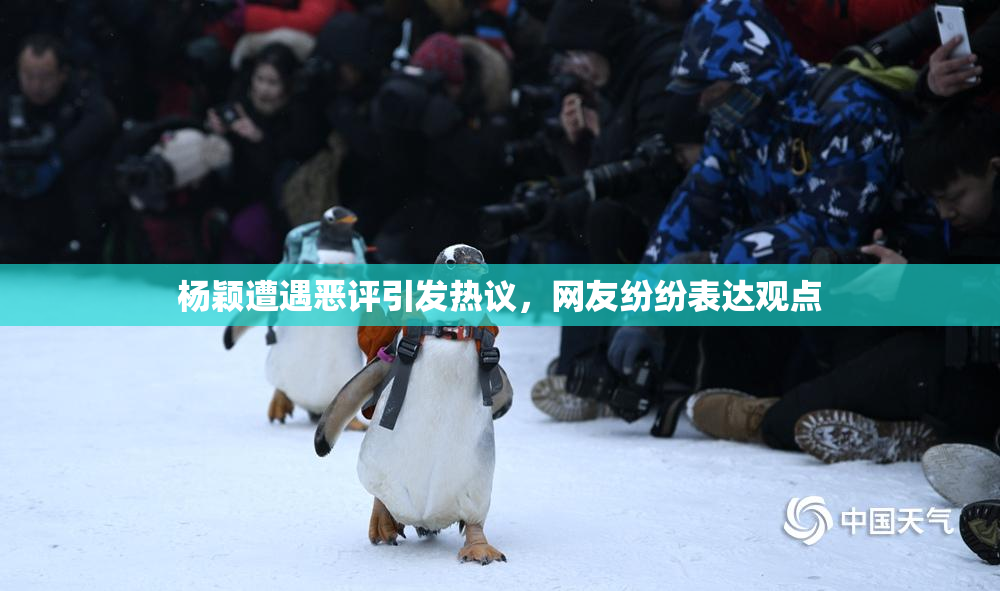 杨颖遭遇恶评引发热议，网友纷纷表达观点