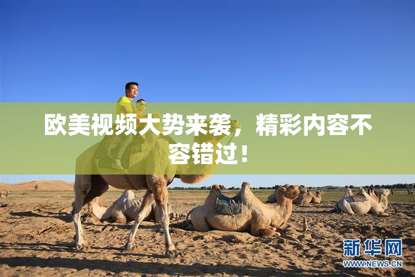 欧美视频大势来袭，精彩内容不容错过！