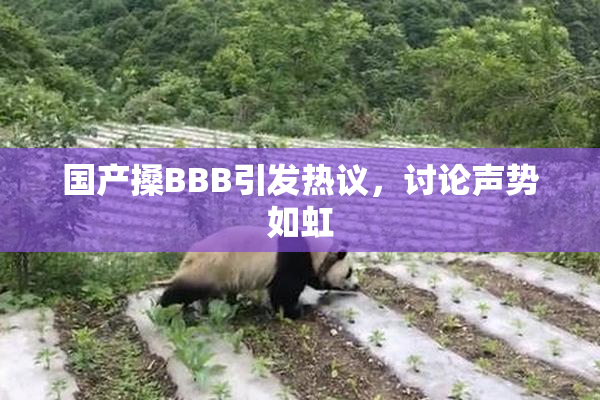国产搡BBB引发热议，讨论声势如虹
